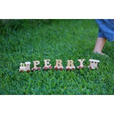 Personalised Wooden Alphabet Name Trains 